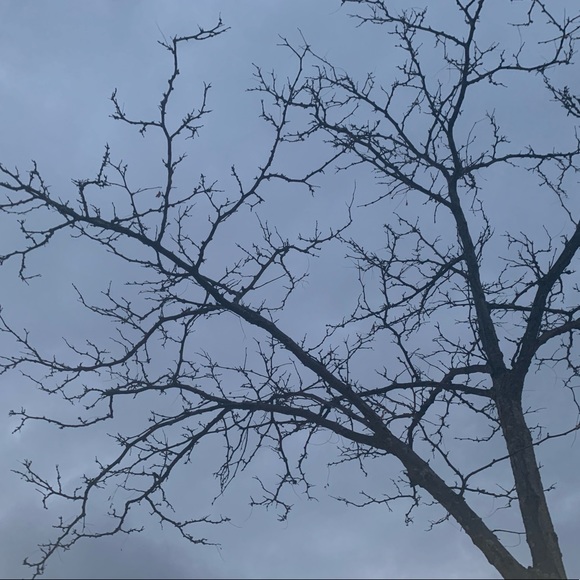 Meet your Posher, Sena - Picture 1 of 1